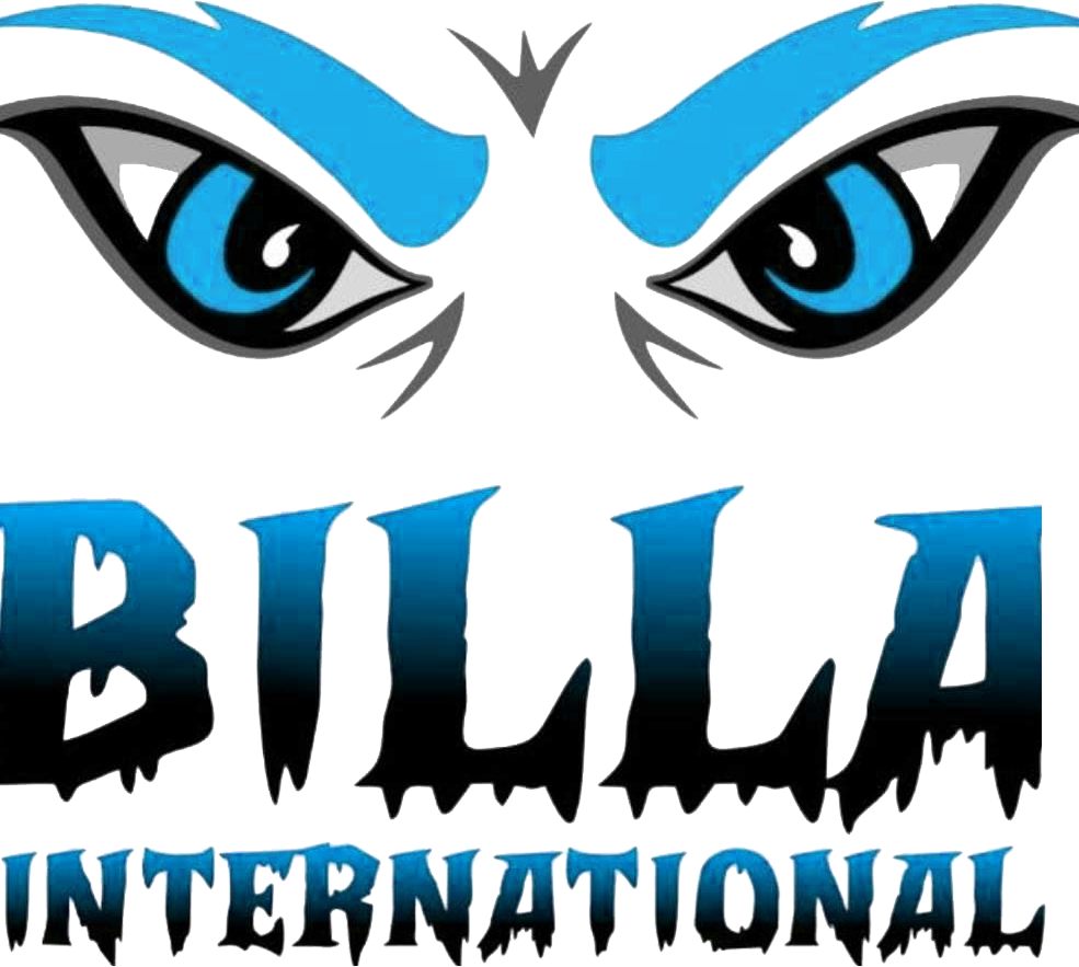 Billa International